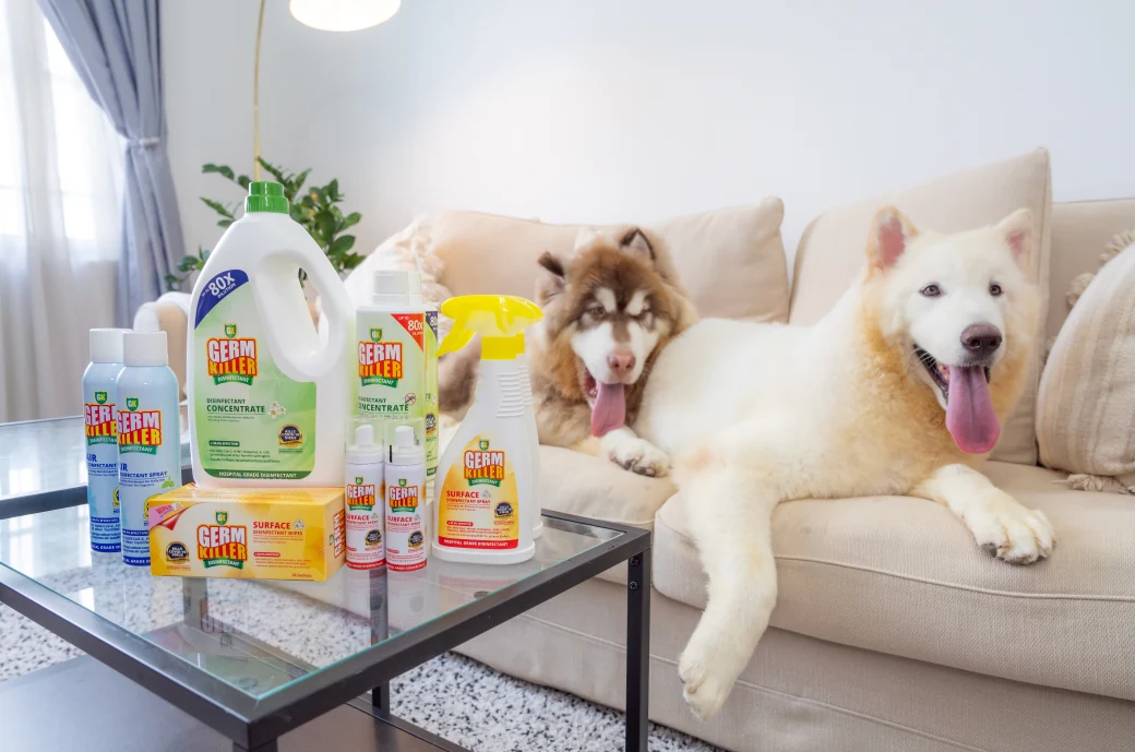 GK products beside two dogs resting on a sofa