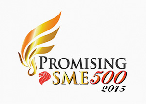 Promising SME 500